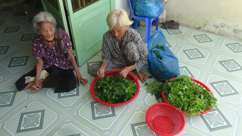Mẹ con dìu nhau đến cuối cuộc đời - Ảnh 1. Mẹ con dìu nhau đến cuối cuộc đời - Ảnh 1.
