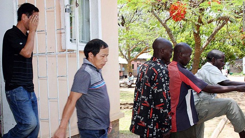 Tâm lý bài Hoa dâng cao ở Zambia, 3 người Trung Quốc bị cướp của, chặt xác - Ảnh 2. Tâm lý bài Hoa dâng cao ở Zambia, 3 người Trung Quốc bị cướp của, chặt xác - Ảnh 2.