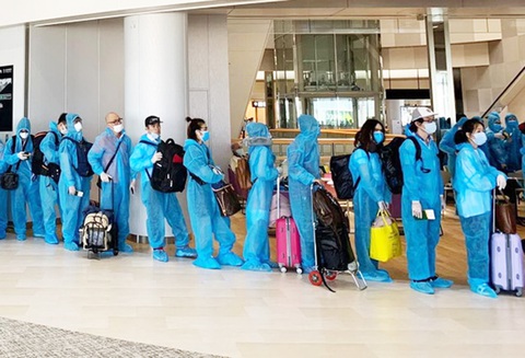 215 người trên cùng chuyến bay bệnh nhân 330, 331 có kết quả âm tính - Ảnh 1. 215 người trên cùng chuyến bay bệnh nhân 330, 331 có kết quả âm tính - Ảnh 1.