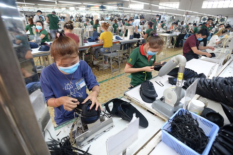 Bộ trưởng Tài chính Đinh Tiến Dũng: Khẩn trương giảm thuế, nuôi dưỡng nguồn thu - Ảnh 1. Bộ trưởng Tài chính Đinh Tiến Dũng: Khẩn trương giảm thuế, nuôi dưỡng nguồn thu - Ảnh 1.
