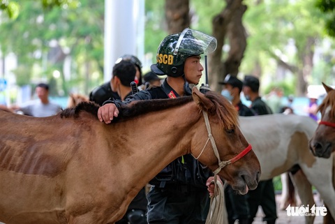 Ra mắt Đoàn cảnh sát cơ động kỵ binh - Ảnh 8. Ra mắt Đoàn cảnh sát cơ động kỵ binh - Ảnh 8.
