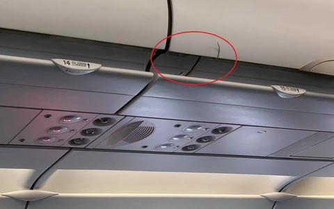 Hành khách mang rắn lên máy bay và rắn xổng chuồng - Ảnh 1. Hành khách mang rắn lên máy bay và rắn xổng chuồng - Ảnh 1.