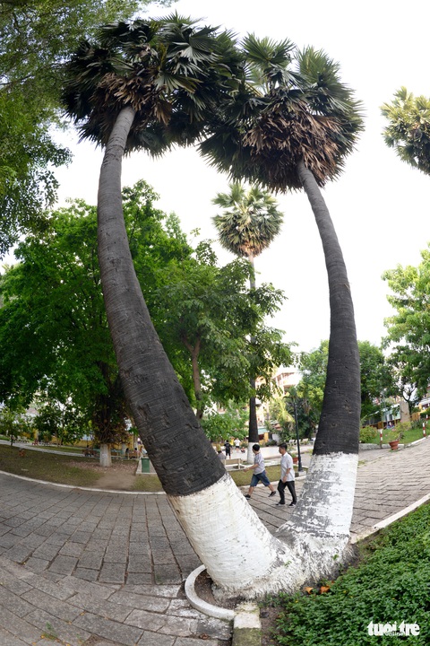 Những hình ảnh kể sự tích ở lăng Tả quân Lê Văn Duyệt - Ảnh 11. Những hình ảnh kể sự tích ở lăng Tả quân Lê Văn Duyệt - Ảnh 11.