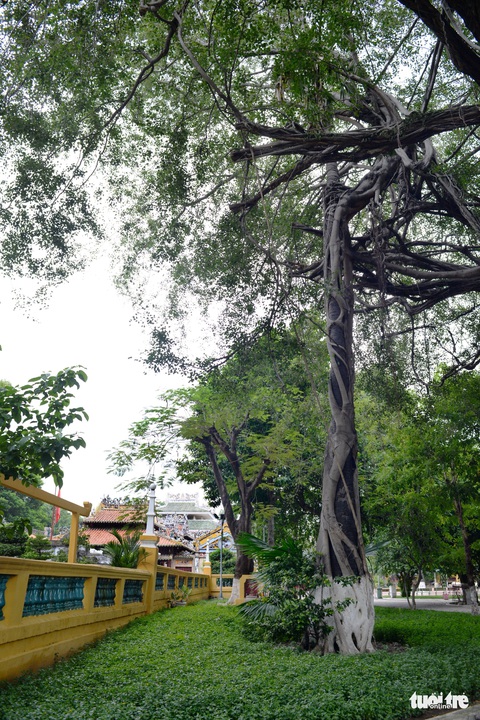 Những hình ảnh kể sự tích ở lăng Tả quân Lê Văn Duyệt - Ảnh 4. Những hình ảnh kể sự tích ở lăng Tả quân Lê Văn Duyệt - Ảnh 4.