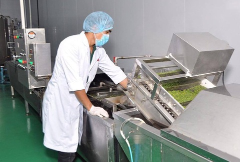 EVFTA: Việt Nam muốn sớm thực hiện cơ hội vàng - Ảnh 1. EVFTA: Việt Nam muốn sớm thực hiện cơ hội vàng - Ảnh 1.