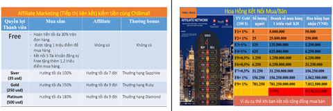 Điểm mặt sàn thương mại điện tử tràn tầng, đa cấp thời đại 4.0 kinh doanh đa cấp trái phép - Ảnh 2. Điểm mặt sàn thương mại điện tử tràn tầng, đa cấp thời đại 4.0 kinh doanh đa cấp trái phép - Ảnh 2.