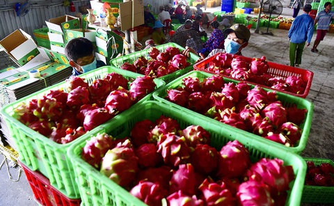 Nông sản Việt sẵn sàng vào EU - Ảnh 1. Nông sản Việt sẵn sàng vào EU - Ảnh 1.