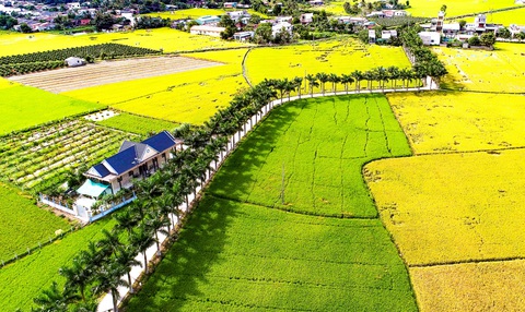 Chủ tịch Quốc hội dạo đường cau đẹp nhất miền Tây, muốn phát triển đường ven biển ĐBSCL - Ảnh 2. Chủ tịch Quốc hội dạo đường cau đẹp nhất miền Tây, muốn phát triển đường ven biển ĐBSCL - Ảnh 2.
