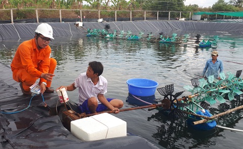 Miền Nam cảnh báo an toàn điện mùa mưa bão - Ảnh 1. Miền Nam cảnh báo an toàn điện mùa mưa bão - Ảnh 1.