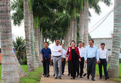 Chủ tịch Quốc hội dạo đường cau đẹp nhất miền Tây, muốn phát triển đường ven biển ĐBSCL - Ảnh 1. Chủ tịch Quốc hội dạo đường cau đẹp nhất miền Tây, muốn phát triển đường ven biển ĐBSCL - Ảnh 1.
