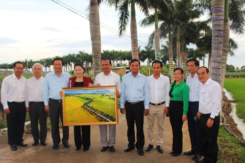 Chủ tịch Quốc hội dạo đường cau đẹp nhất miền Tây, muốn phát triển đường ven biển ĐBSCL - Ảnh 3. Chủ tịch Quốc hội dạo đường cau đẹp nhất miền Tây, muốn phát triển đường ven biển ĐBSCL - Ảnh 3.