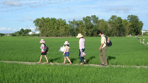 Tuổi già hiu quạnh chốn quê - Ảnh 1. Tuổi già hiu quạnh chốn quê - Ảnh 1.