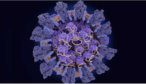 Biến chủng mới của virus corona đang lây lan mạnh hơn chủng virus ở Vũ Hán - Ảnh 1. Biến chủng mới của virus corona đang lây lan mạnh hơn chủng virus ở Vũ Hán - Ảnh 1.