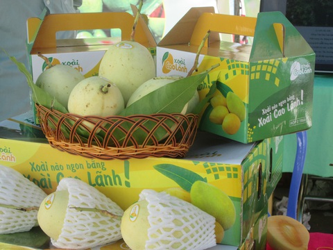 Nhà vườn lao đao vượt khó - Kỳ cuối: Bí thư Đồng Tháp rút ruột gan với 3 cách làm - Ảnh 1. Nhà vườn lao đao vượt khó - Kỳ cuối: Bí thư Đồng Tháp rút ruột gan với 3 cách làm - Ảnh 1.