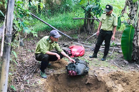 Bò tót 200kg bị lâm tặc hạ sát trong Vườn quốc gia Cát Tiên - Ảnh 2. Bò tót 200kg bị lâm tặc hạ sát trong Vườn quốc gia Cát Tiên - Ảnh 2.