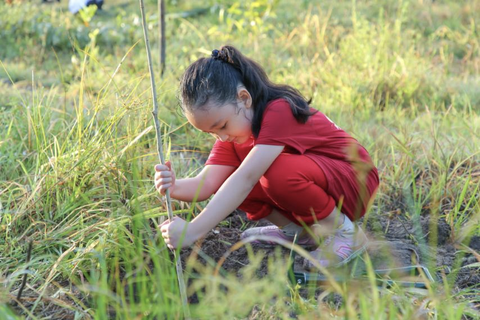 Giáo dục trẻ yêu thiên nhiên qua hoạt động trồng cây gây rừng - Ảnh 1. Giáo dục trẻ yêu thiên nhiên qua hoạt động trồng cây gây rừng - Ảnh 1.