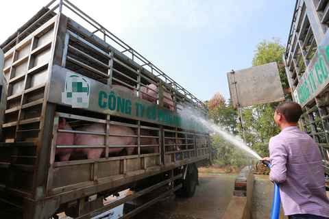 Giá heo hơi giảm, nhưng vẫn thiếu 200.000 con - Ảnh 1. Giá heo hơi giảm, nhưng vẫn thiếu 200.000 con - Ảnh 1.
