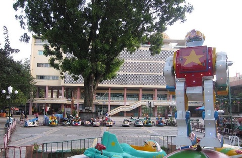 Tiếc nuối nhìn cây cổ thụ ở Cung Thiếu nhi Hà Nội bị chặt bỏ - Ảnh 3. Tiếc nuối nhìn cây cổ thụ ở Cung Thiếu nhi Hà Nội bị chặt bỏ - Ảnh 3.