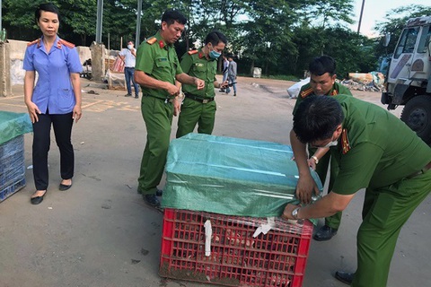 Khai quật gom hơn 13 tấn chất thải chưa xử lý tại 5 vị trí trong công ty Đài Loan - Ảnh 1. Khai quật gom hơn 13 tấn chất thải chưa xử lý tại 5 vị trí trong công ty Đài Loan - Ảnh 1.