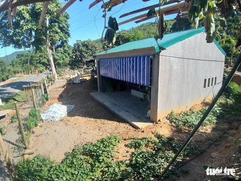 Xây biệt thự’ cho bò hết 236 triệu/cái ở Nghệ An - Ảnh 1. Xây biệt thự’ cho bò hết 236 triệu/cái ở Nghệ An - Ảnh 1.