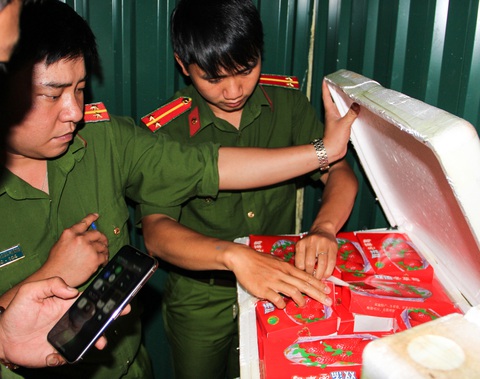 Dâu tây Trung Quốc dư lượng thuốc gấp 3 lần, 22 ngày vẫn tươi như mới hái - Ảnh 1. Dâu tây Trung Quốc dư lượng thuốc gấp 3 lần, 22 ngày vẫn tươi như mới hái - Ảnh 1.