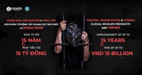 Việc cần làm ngay ! - Ảnh 1. Việc cần làm ngay ! - Ảnh 1.