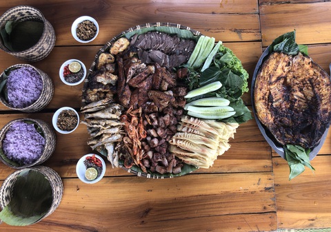 Ngắm thần mộc sa mu ngàn năm tuổi trong rừng nguyên sinh - Ảnh 13. Ngắm thần mộc sa mu ngàn năm tuổi trong rừng nguyên sinh - Ảnh 13.