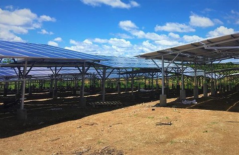 Đắk Nông đẩy mạnh phát triển điện mặt trời áp mái - Ảnh 2. Đắk Nông đẩy mạnh phát triển điện mặt trời áp mái - Ảnh 2.