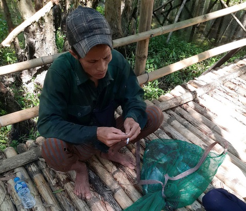 Cò tặc lộng hành ở rừng tràm Trà Sư - Ảnh 1. Cò tặc lộng hành ở rừng tràm Trà Sư - Ảnh 1.