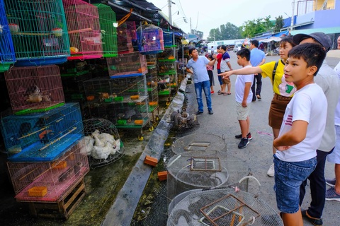 Nói không với động vật hoang dã - Ảnh 1. Nói không với động vật hoang dã - Ảnh 1.