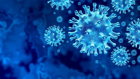 Có bao nhiêu chủng virus SARS-CoV-2 đang lây lan? - Ảnh 1. Có bao nhiêu chủng virus SARS-CoV-2 đang lây lan? - Ảnh 1.