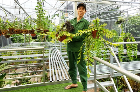 Vườn lan tiền tỉ của chàng bộ đội xuất ngũ - Ảnh 1. Vườn lan tiền tỉ của chàng bộ đội xuất ngũ - Ảnh 1.