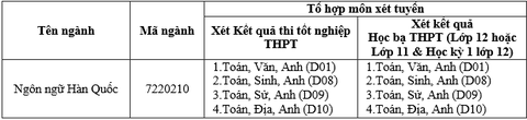 ĐH Duy Tân tuyển sinh ngành học mới Ngôn ngữ Hàn Quốc năm 2020 - Ảnh 4. ĐH Duy Tân tuyển sinh ngành học mới Ngôn ngữ Hàn Quốc năm 2020 - Ảnh 4.