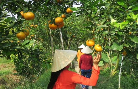 Du lịch miền Tây cần áo mới thay vì những cảnh na ná nhau - Ảnh 2. Du lịch miền Tây cần áo mới thay vì những cảnh na ná nhau - Ảnh 2.