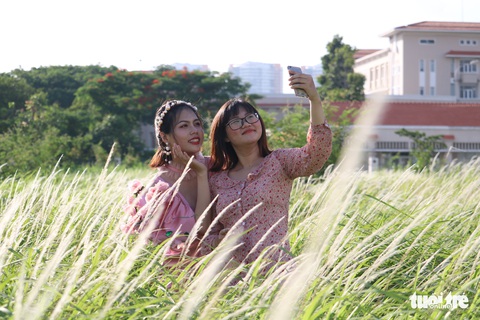 Bạn trẻ Sài Gòn thích thú check-in với cánh đồng cỏ hoang lau trắng - Ảnh 1. Bạn trẻ Sài Gòn thích thú check-in với cánh đồng cỏ hoang lau trắng - Ảnh 1.