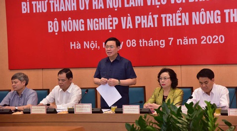 Hà Nội muốn làm đê kết hợp đường, làm đô thị hai bên sông Hồng - Ảnh 1. Hà Nội muốn làm đê kết hợp đường, làm đô thị hai bên sông Hồng - Ảnh 1.