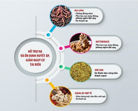 Xu hướng mới trong điều trị tăng huyết áp và phòng ngừa đột quỵ - Ảnh 5. Xu hướng mới trong điều trị tăng huyết áp và phòng ngừa đột quỵ - Ảnh 5.