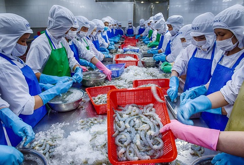 Từ ngày 1-8: EU áp thuế 0% với 85,6% dòng thuế nhập hàng Việt Nam - Ảnh 1. Từ ngày 1-8: EU áp thuế 0% với 85,6% dòng thuế nhập hàng Việt Nam - Ảnh 1.