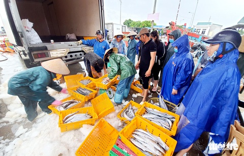Ngư dân hối hả đưa hải sản vào bờ tránh bão số 2 - Ảnh 1. Ngư dân hối hả đưa hải sản vào bờ tránh bão số 2 - Ảnh 1.