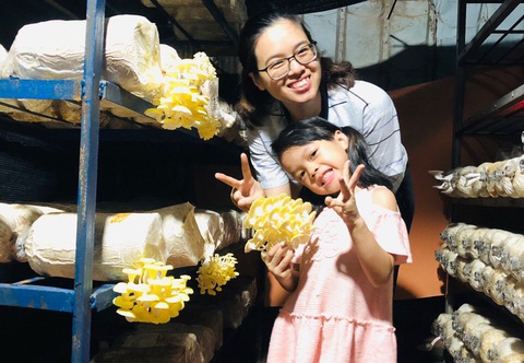 Làm nông dân trồng nấm tại nhà - Ảnh 2. Làm nông dân trồng nấm tại nhà - Ảnh 2.