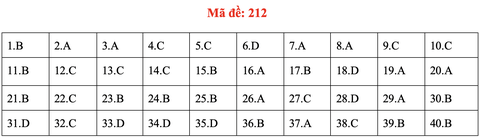 Đề và bài giải môn vật lý kỳ thi tốt nghiệp THPT 2020 - Ảnh 14.