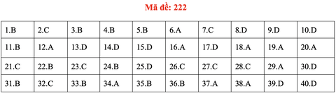 Đề và bài giải môn vật lý kỳ thi tốt nghiệp THPT 2020 - Ảnh 21.