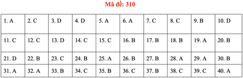 Đề và bài giải môn lịch sử kỳ thi tốt nghiệp THPT 2020 - đủ 24 mã đề - Ảnh 14.