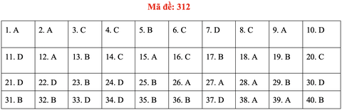 Đề và bài giải môn lịch sử kỳ thi tốt nghiệp THPT 2020 - đủ 24 mã đề - Ảnh 16.