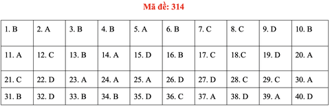 Đề và bài giải môn lịch sử kỳ thi tốt nghiệp THPT 2020 - đủ 24 mã đề - Ảnh 18.