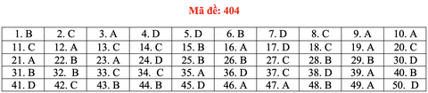 Đề và bài giải tiếng Anh kỳ thi tốt nghiệp THPT 2020 - đủ 24 mã đề - Ảnh 9. Đề và bài giải tiếng Anh kỳ thi tốt nghiệp THPT 2020 - đủ 24 mã đề - Ảnh 9.