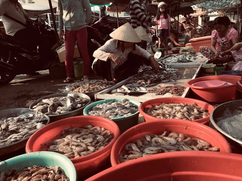 Về Cần Giờ trải nghiệm bình yên bên rìa thành phố - Ảnh 3. Về Cần Giờ trải nghiệm bình yên bên rìa thành phố - Ảnh 3.