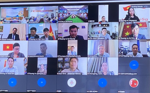Tiếp thị quả nhãn Việt Nam ra nước ngoài bằng kênh online - Ảnh 2. Tiếp thị quả nhãn Việt Nam ra nước ngoài bằng kênh online - Ảnh 2.