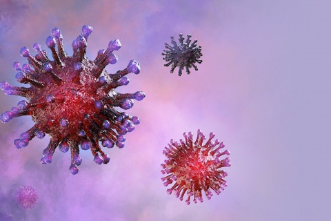 Trung Quốc tìm thấy virus corona trên cánh gà đông lạnh nhập khẩu từ Brazil - Ảnh 1. Trung Quốc tìm thấy virus corona trên cánh gà đông lạnh nhập khẩu từ Brazil - Ảnh 1.