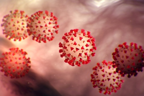 Phát hiện điểm yếu mới trong protein gai của virus SARS-CoV-2 - Ảnh 1. Phát hiện điểm yếu mới trong protein gai của virus SARS-CoV-2 - Ảnh 1.